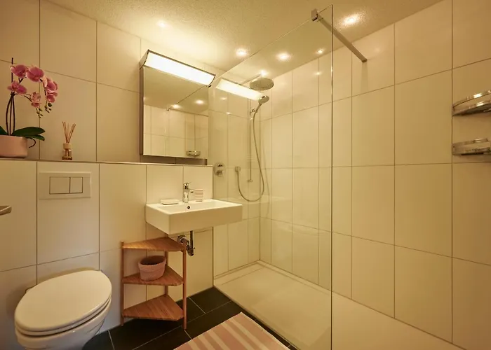 Sole Apartman Wengen